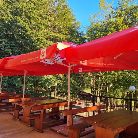 Great Mountain B&B Platak Екстер'єр фото