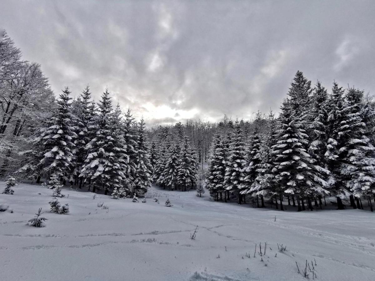 Great Mountain B&B Platak Екстер'єр фото