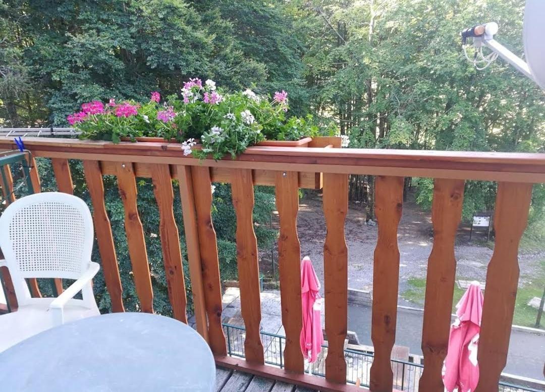 Great Mountain B&B Platak Екстер'єр фото