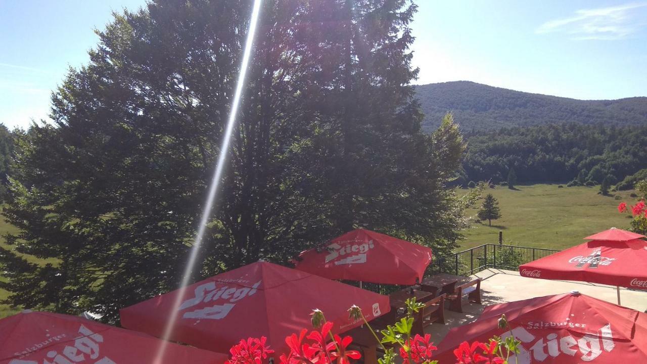 Great Mountain B&B Platak Екстер'єр фото