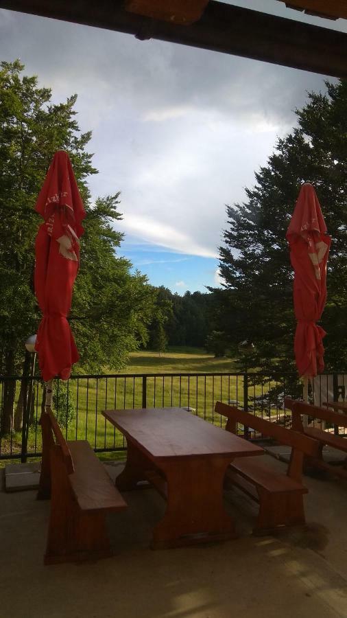 Great Mountain B&B Platak Екстер'єр фото