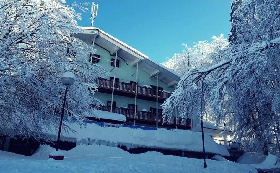 Great Mountain B&B Platak Екстер'єр фото